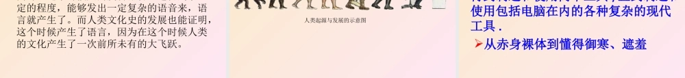 新教材人教版人类的起源和发展.ppt