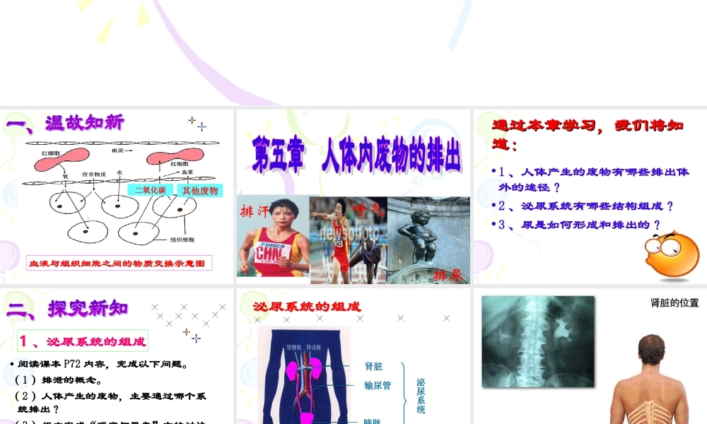 新人教版第五章人体内废物的排出课件.ppt