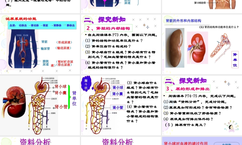 新人教版第五章人体内废物的排出课件.ppt