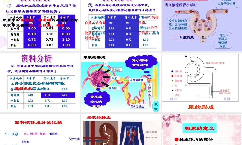 新人教版第五章人体内废物的排出课件.ppt