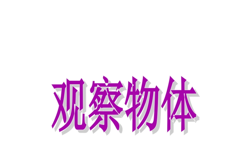 新人教版二年级数学上册：5.1《观察物体》ppt课件.ppt