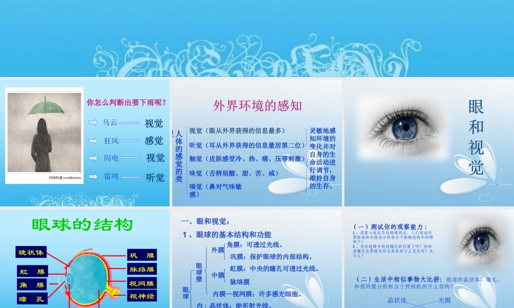 新人教版七年级生物《人体对外界环境的感知》PPT课件.ppt