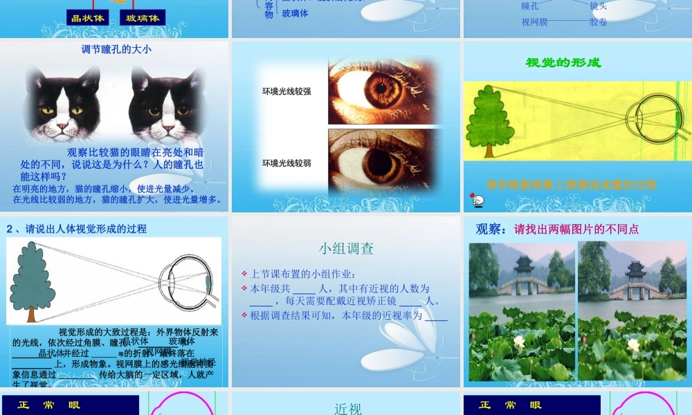 新人教版七年级生物《人体对外界环境的感知》PPT课件.ppt