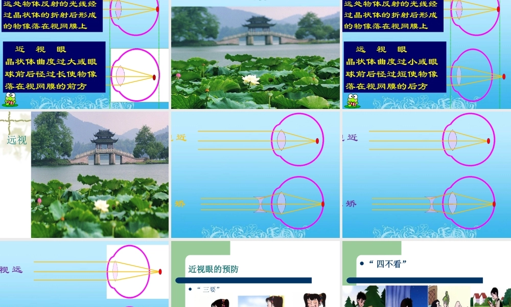 新人教版七年级生物《人体对外界环境的感知》PPT课件.ppt