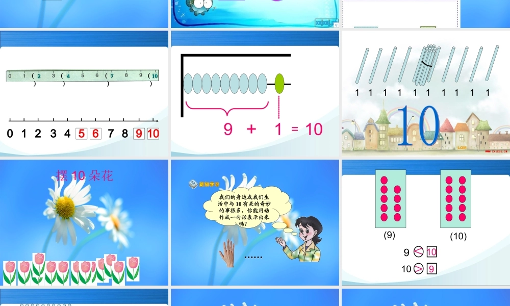 一年级上册数学小学数学PPT课件《10的认识1》.ppt
