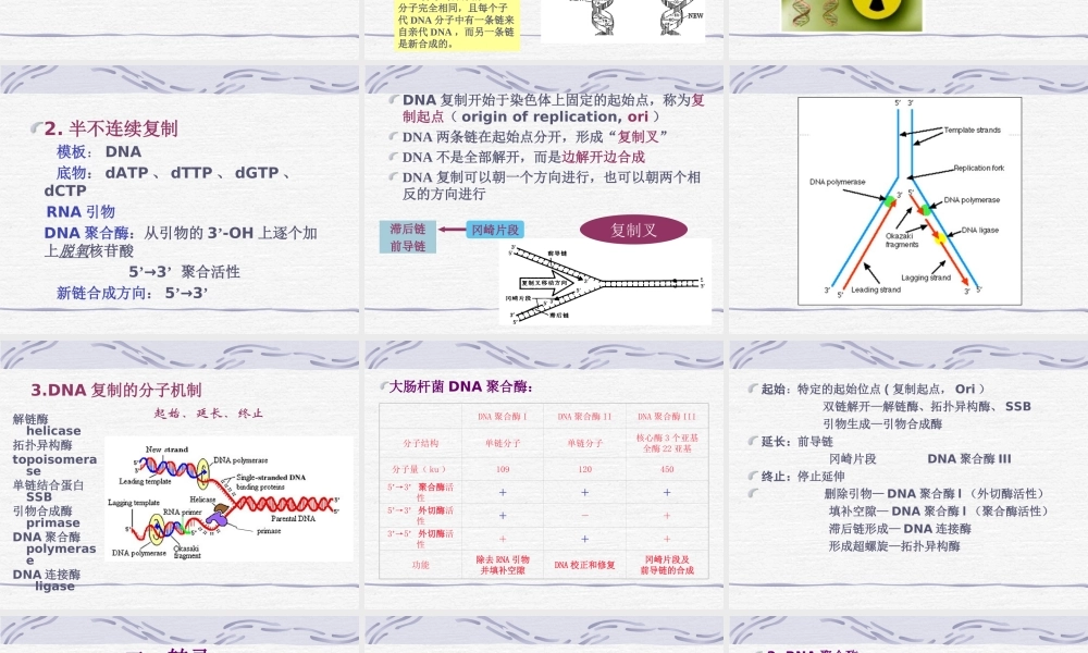 遗传信息的传递.ppt