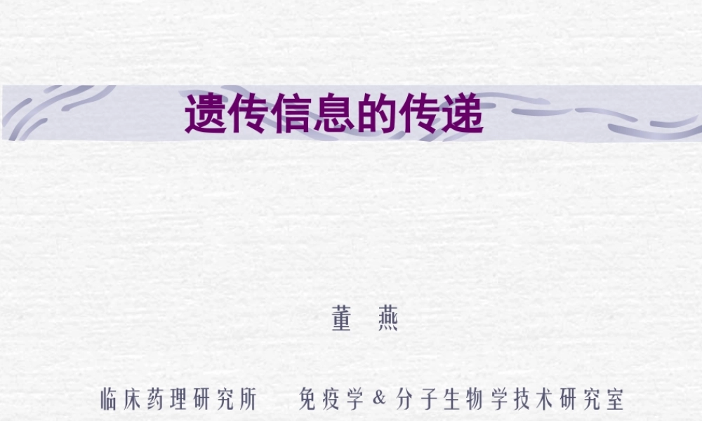 遗传信息的传递(1).ppt