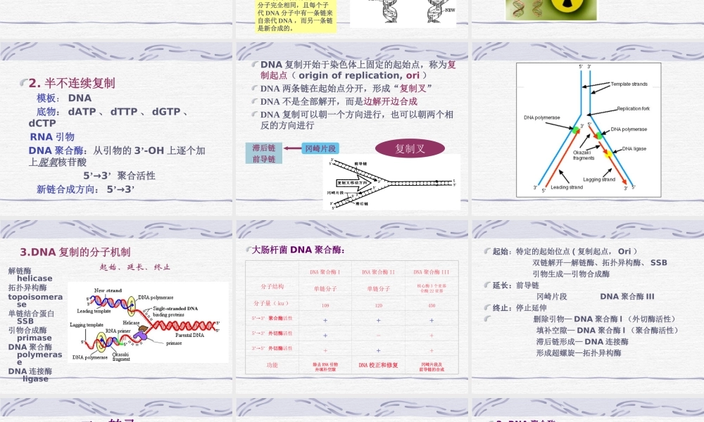 遗传信息的传递(1).ppt