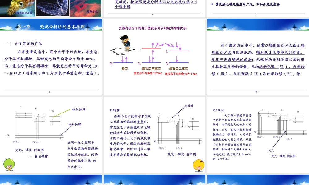 荧光分析.ppt