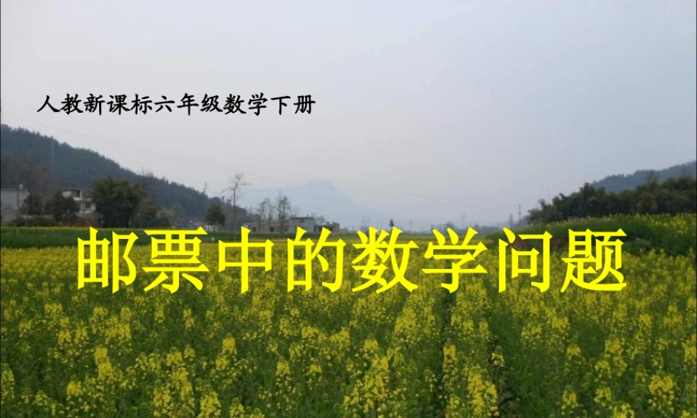 邮票中的数学问题 PPT课件2 人教新课标六年级数学下册 第十二册课件.ppt