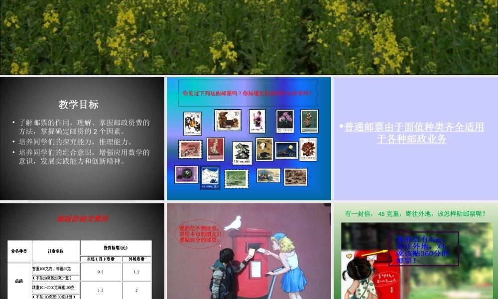 邮票中的数学问题 PPT课件2 人教新课标六年级数学下册 第十二册课件.ppt