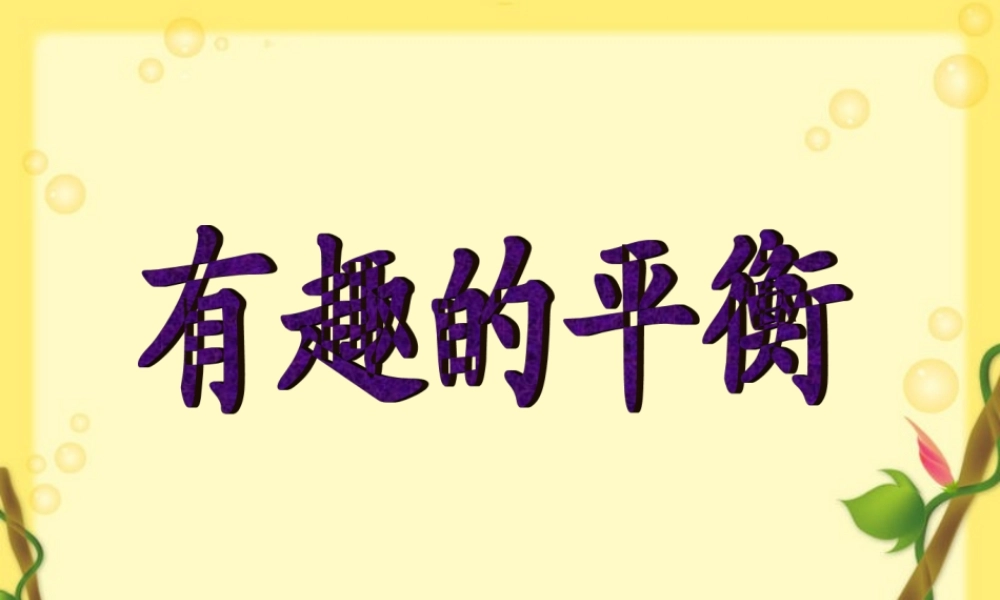 有趣的平衡.ppt