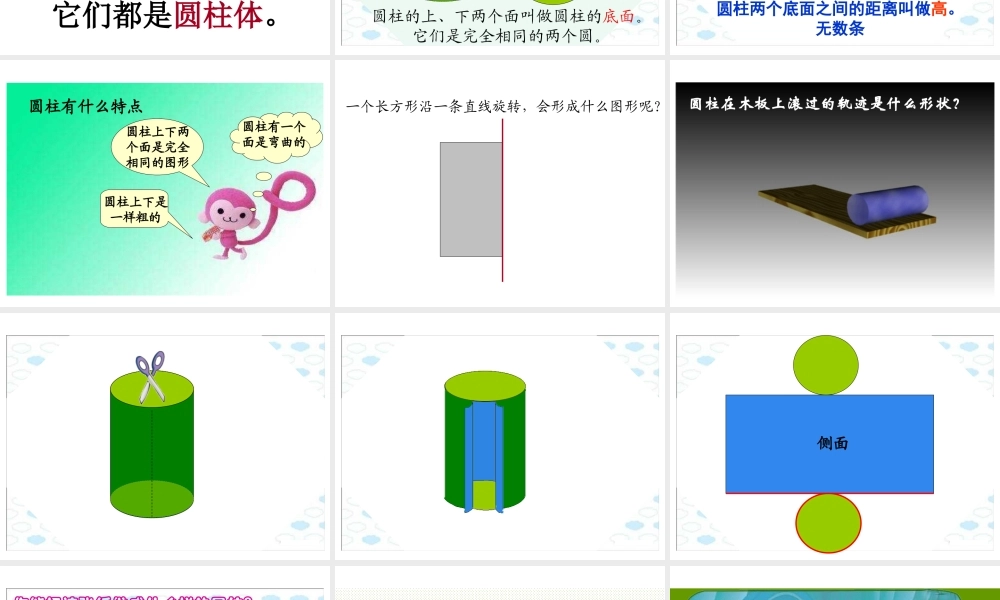 圆柱的认识.ppt