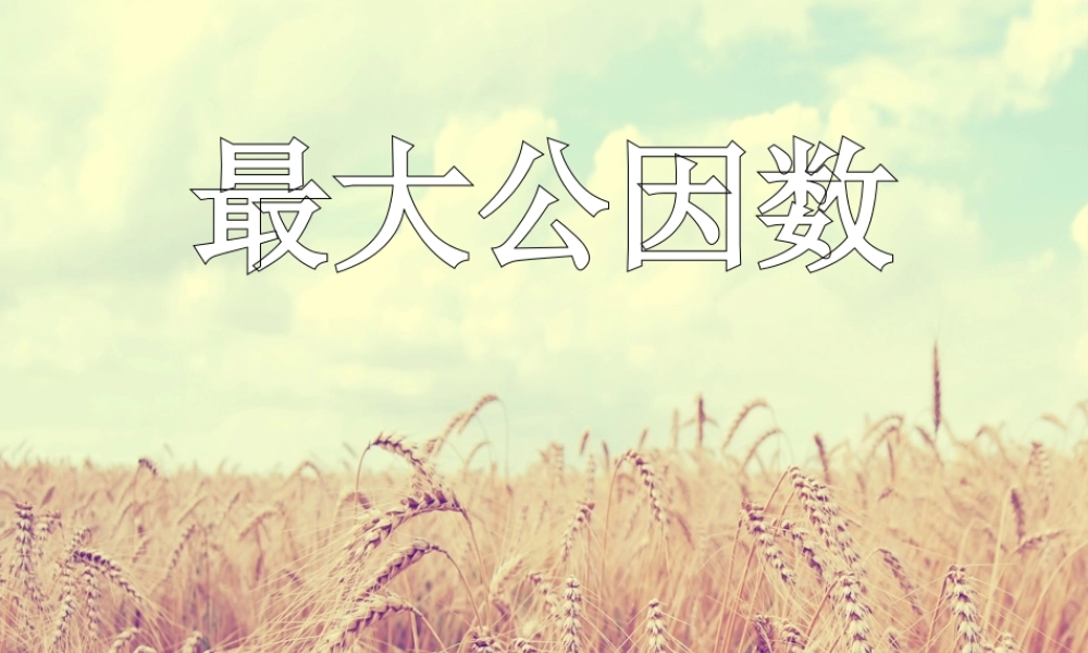 找最大公因数_PPT.ppt