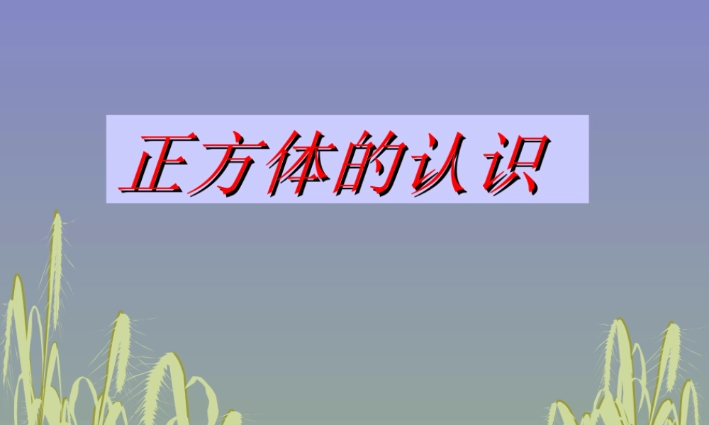 正方体的认识PPT(1).ppt