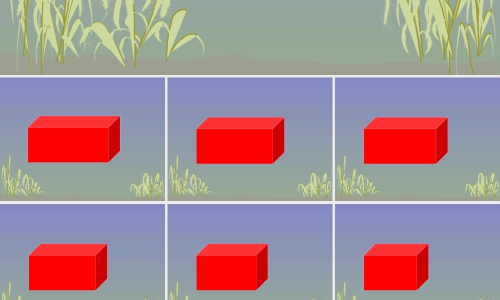 正方体的认识PPT(1).ppt