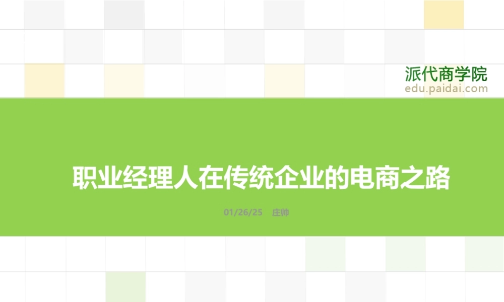 职业经理人在传统企业的电商之路110106.ppt