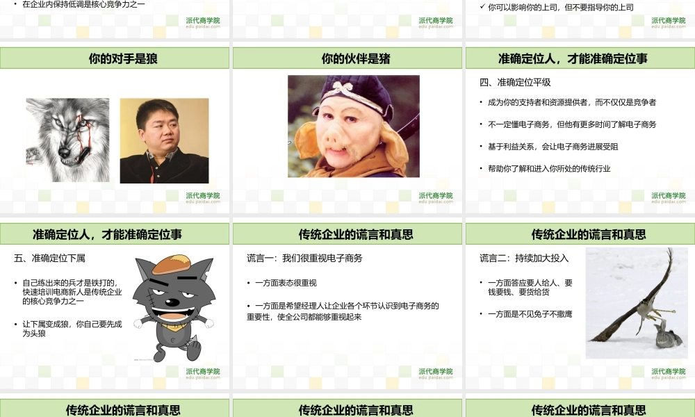 职业经理人在传统企业的电商之路110106.ppt