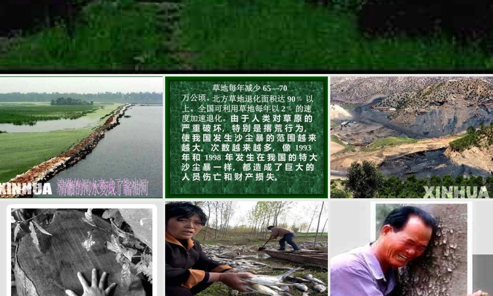 主题班会课件：人人参与保护生态环境主题班会.ppt