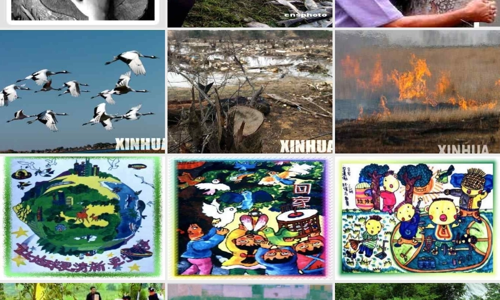 主题班会课件：人人参与保护生态环境主题班会.ppt