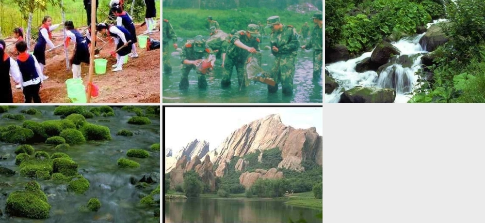 主题班会课件：人人参与保护生态环境主题班会.ppt