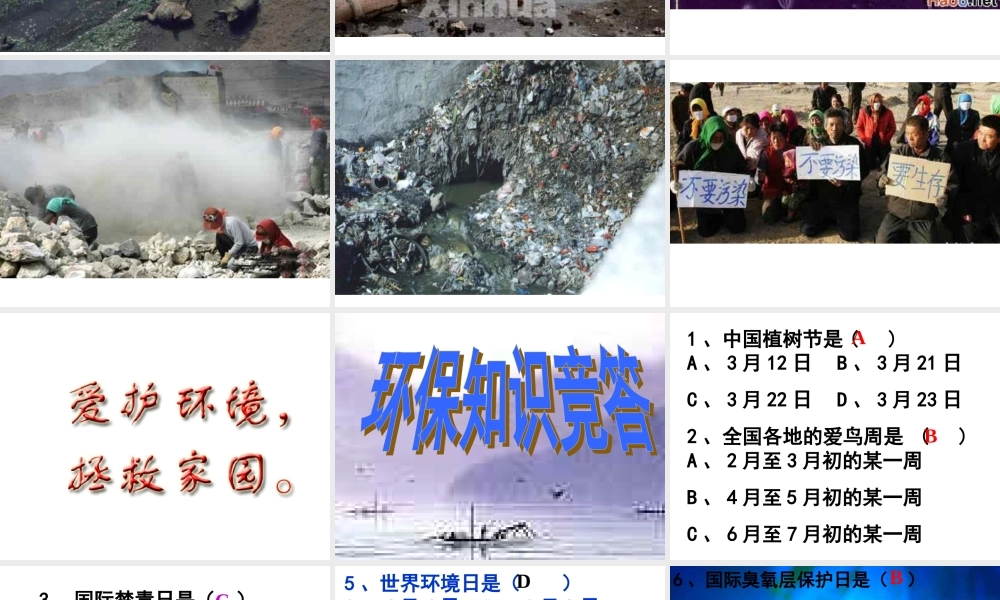 主题班会课件：爱护我们的家园创建美丽的花园.ppt