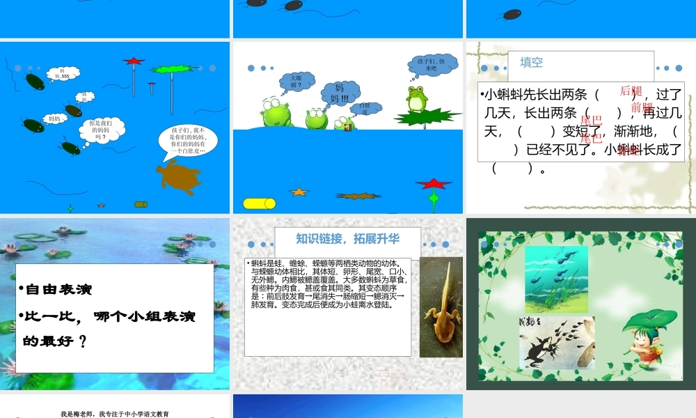 （课堂教学课件2）小蝌蚪找妈妈(1).pptx
