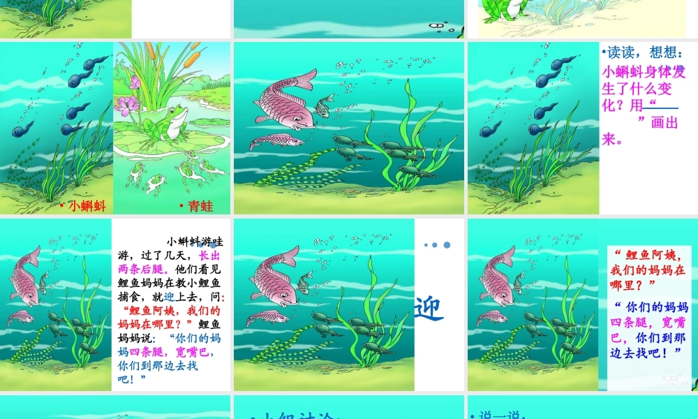 （课堂教学课件3）小蝌蚪找妈妈(1).pptx