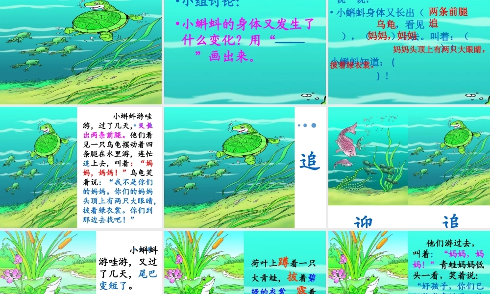 （课堂教学课件3）小蝌蚪找妈妈(1).pptx