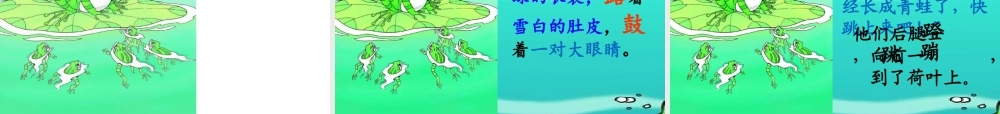 （课堂教学课件3）小蝌蚪找妈妈(1).pptx