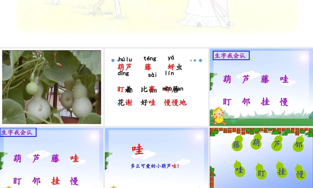 （课堂教学课件2）我要的是葫芦(1).pptx