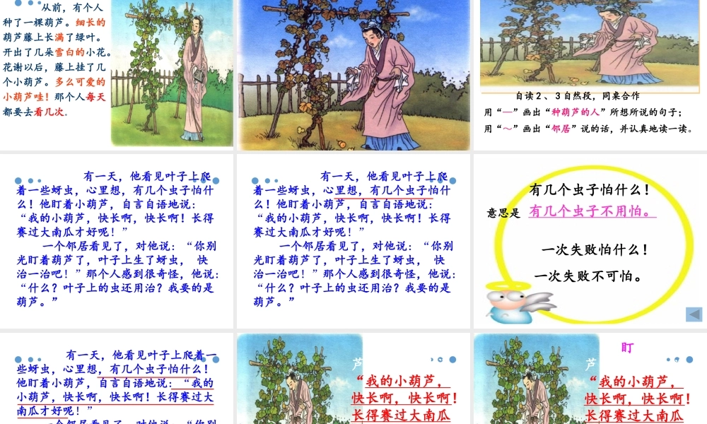 （课堂教学课件2）我要的是葫芦(1).pptx