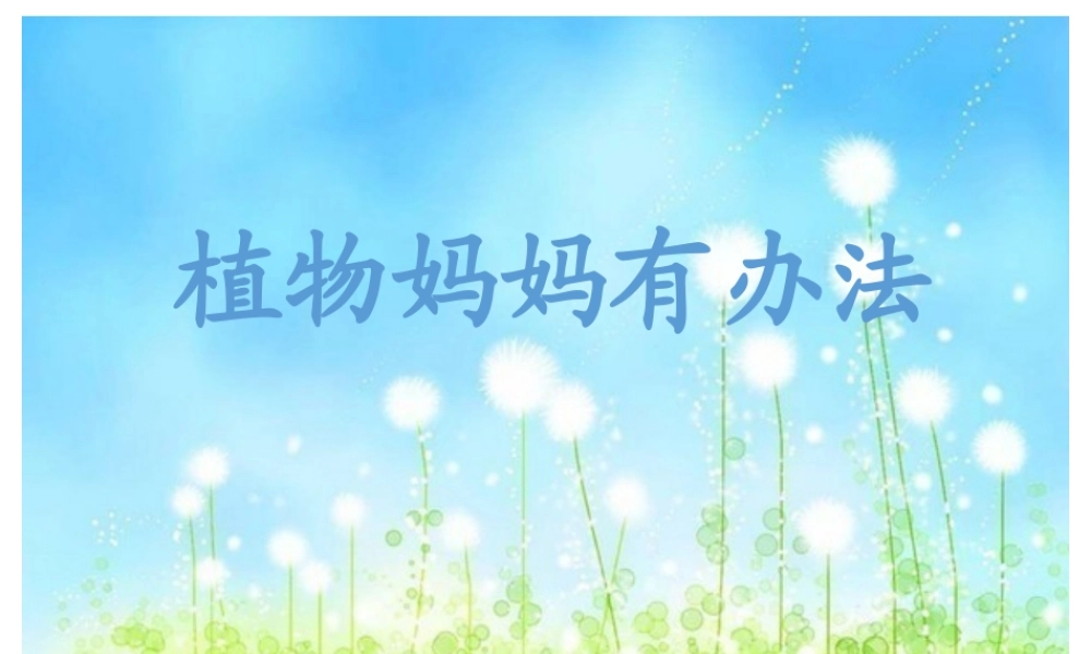 （课堂教学课件5）植物妈妈有办法(1).pptx