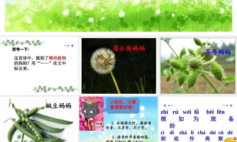 （课堂教学课件5）植物妈妈有办法(1).pptx