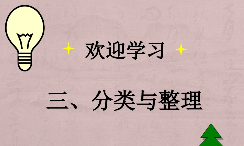 《分类与整理》课件.pptx