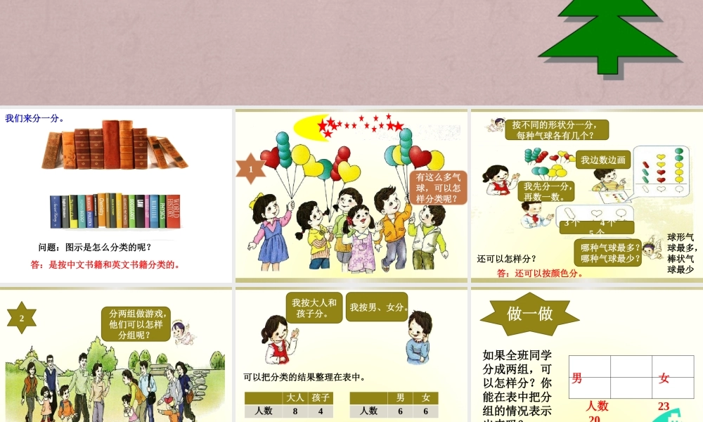 《分类与整理》课件.pptx