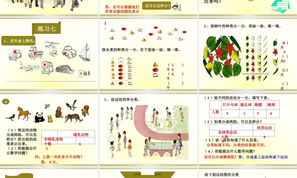 《分类与整理》课件.pptx