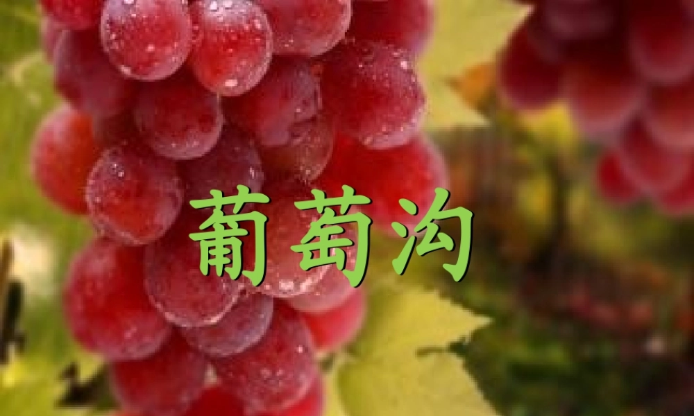 《葡萄沟》课件二(1).pptx