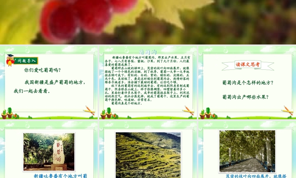 《葡萄沟》课件二(1).pptx