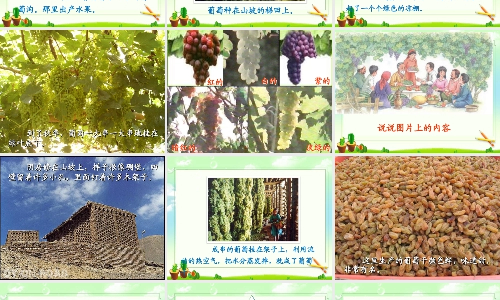 《葡萄沟》课件二(1).pptx