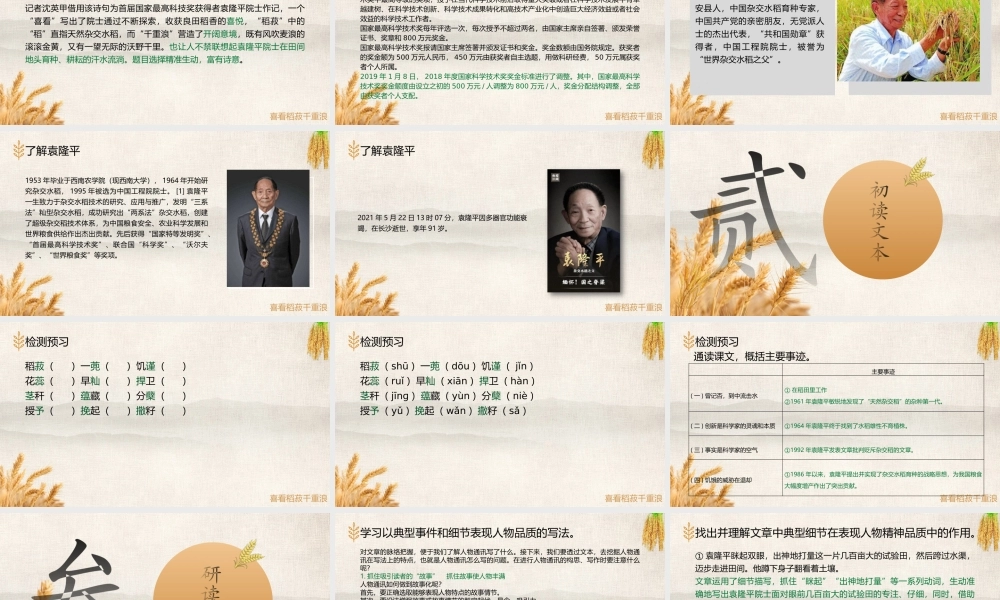 《喜看稻菽千重浪》-课件-2021-2022学年高中语文统编版（2019）必修上册.pptx