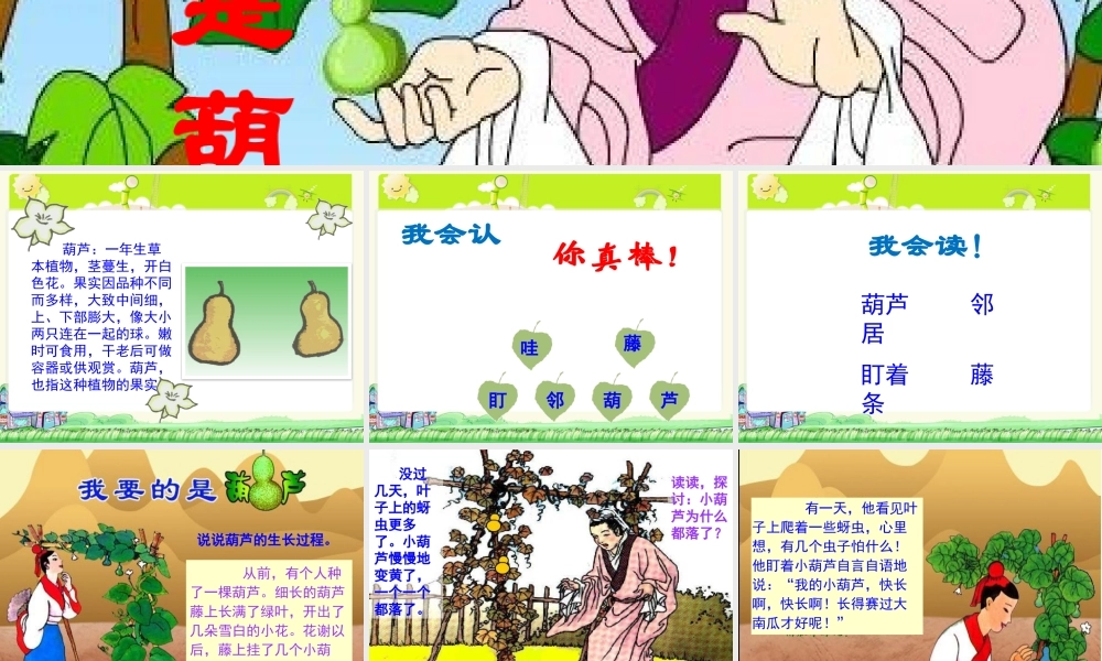 《我要的是葫芦》课件二(1).pptx