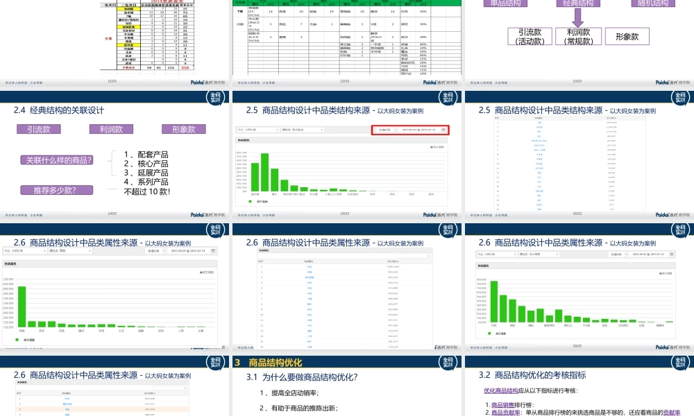 1 玉芙蓉-商品结构设计（终稿）.pptx