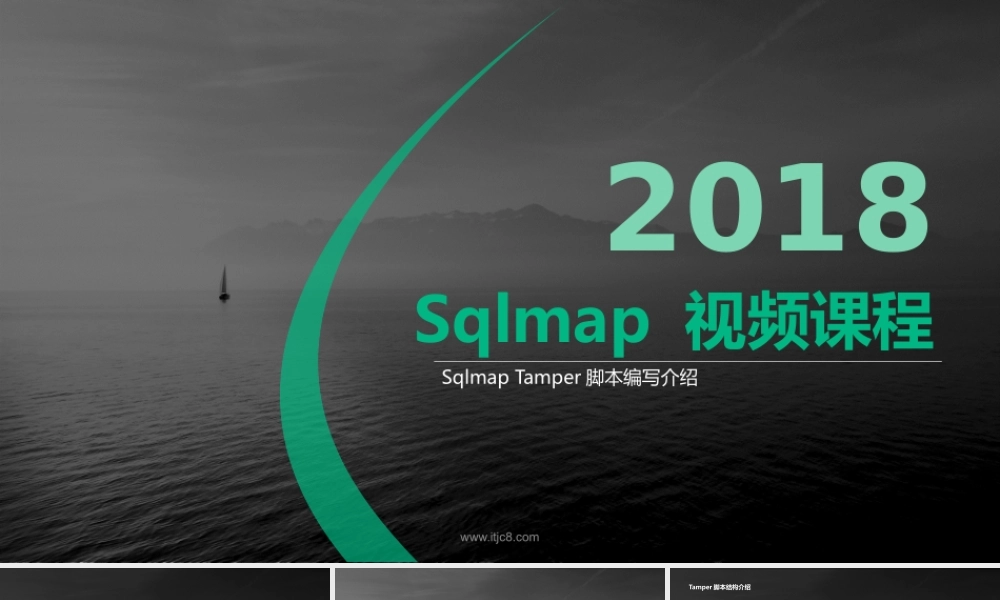 1、Sqlmap Tamper脚本编写介绍-01.pptx
