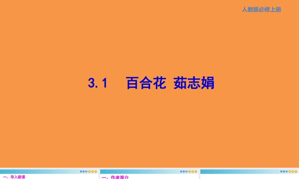 1.3.1 百合花 茹志娟 课件.pptx
