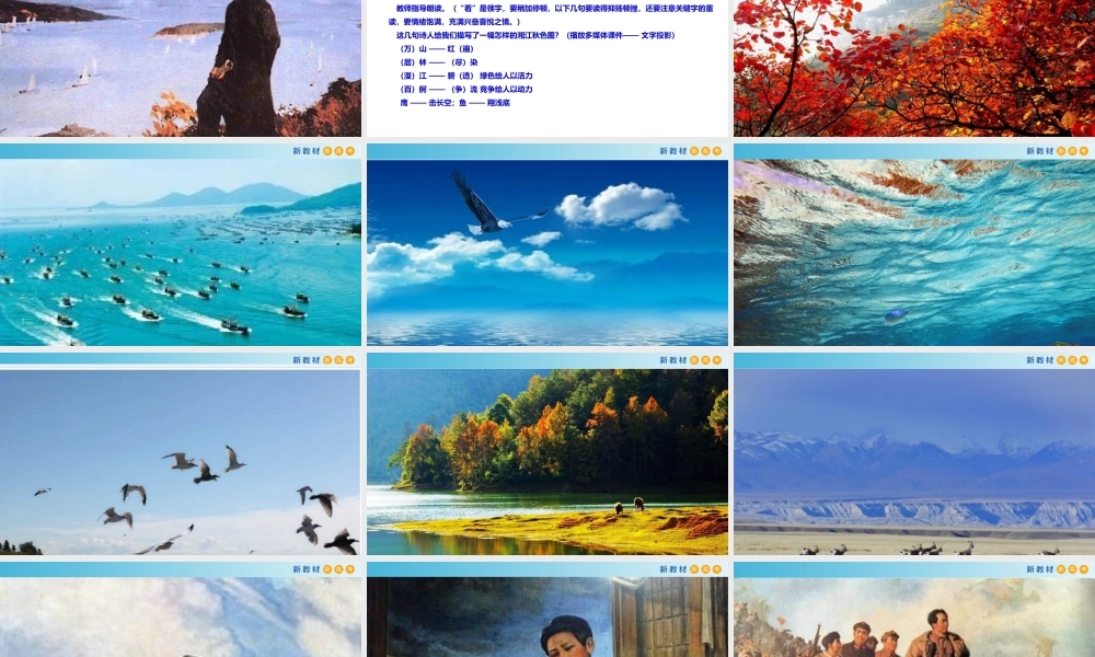 1.1 沁园春长沙课件.pptx