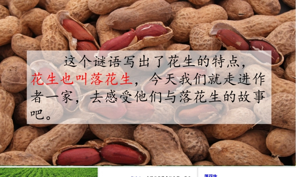 2 落花生(1).pptx