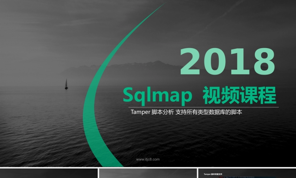 2、Tamper脚本分析（支持所有类型数据库的Tamper脚本）-01.pptx