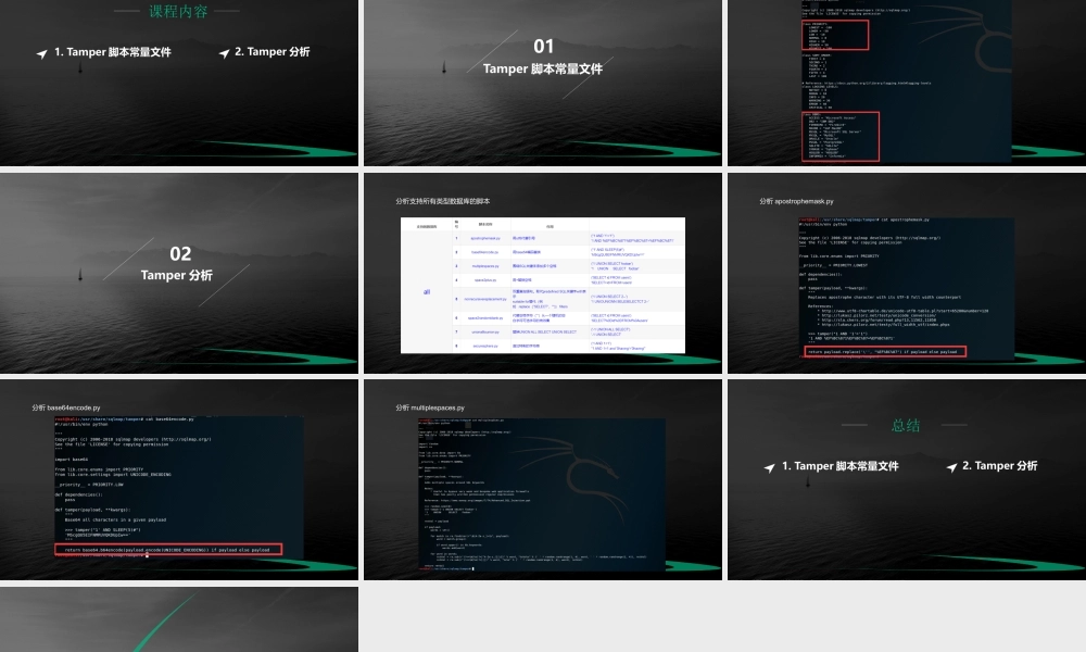 2、Tamper脚本分析（支持所有类型数据库的Tamper脚本）-01.pptx