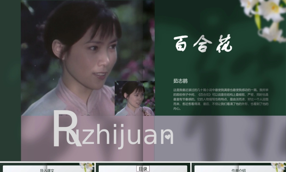 3.1 《百合花》-课件-2021-2022学年高中语文统编版（2019）必修上册.pptx